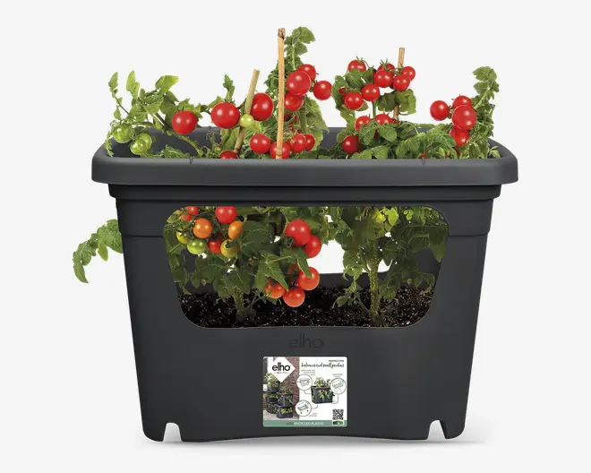 Elho plastkasse plast sort