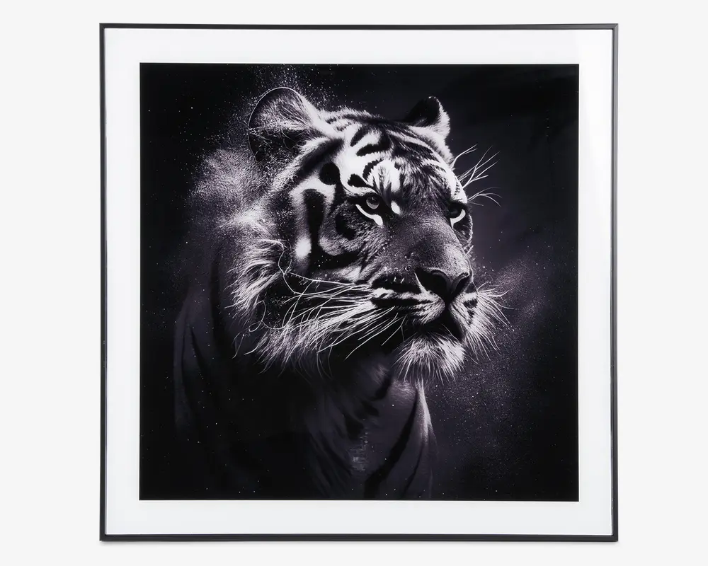 Billede tiger i ramme 50x50 cm 