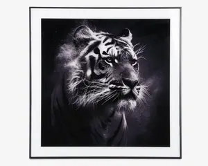 Billede tiger i ramme 50x50 cm