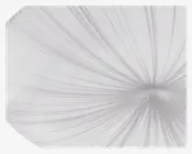 Plafond Nieves LED Hvid Ø.31cm