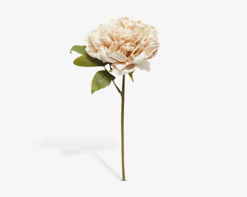 Kunstig blomsterstilk med en stor, fyldig pæonblomst i en blød cremefarve med let ferskenfarvede nuancer. Kronbladene er lagdelte og bølgede, hvilket giver et realistisk og voluminøst udtryk. Stilken er lang og slank med flere grønne blade, som bidrager til det naturtro udseende.