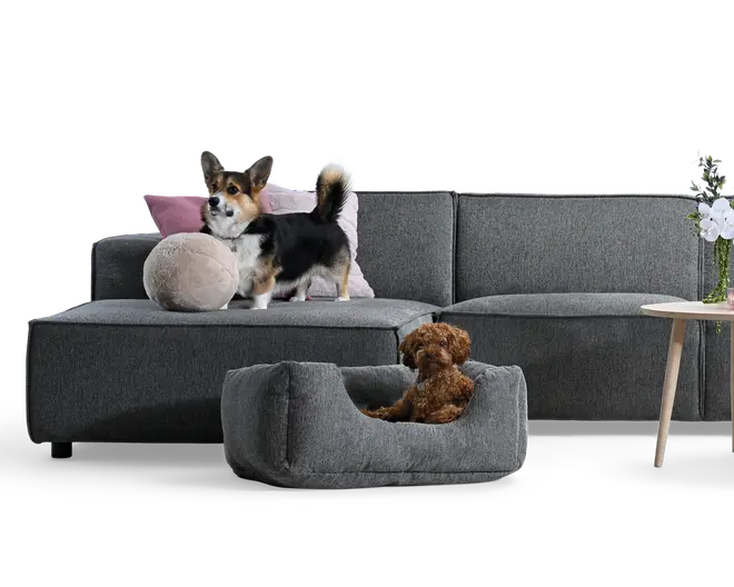 Mørkegrå modulsofa med chaiselong, to pyntepuder og en rund beige pude, med en lille grå kæledyrsseng foran hvor en brun, krøllet hund ligger; et lille sidebord med blomster ses i højre kant.