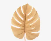Stilk Monstera sand H.61 cm 