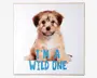 Billede puppy - I am a wild one