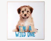Billede puppy - I am a wild one 