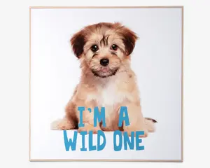 Billede puppy - I am a wild one 
