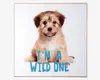 Billede puppy - I am a wild one 