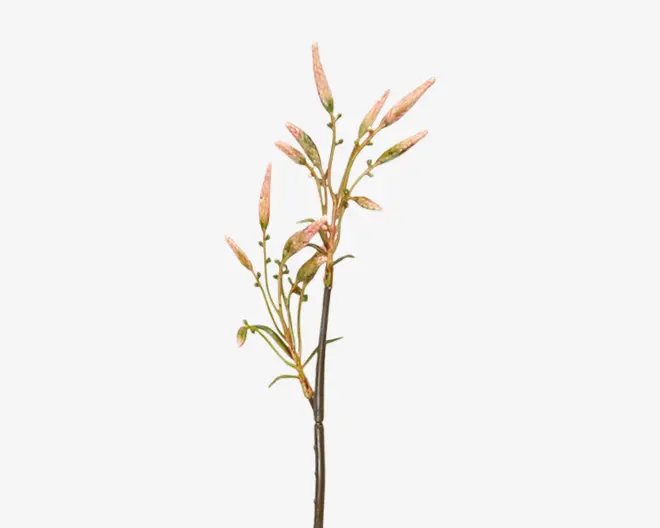 Kunstig plantestilk med flere slanke grene, der har aflange, spidse blade og knopper. Bladene og knopperne har en farvegradient fra grøn til blød rosa, hvilket giver et realistisk og fint udtryk. Stilken er tynd og brun og ligner en naturlig plante.