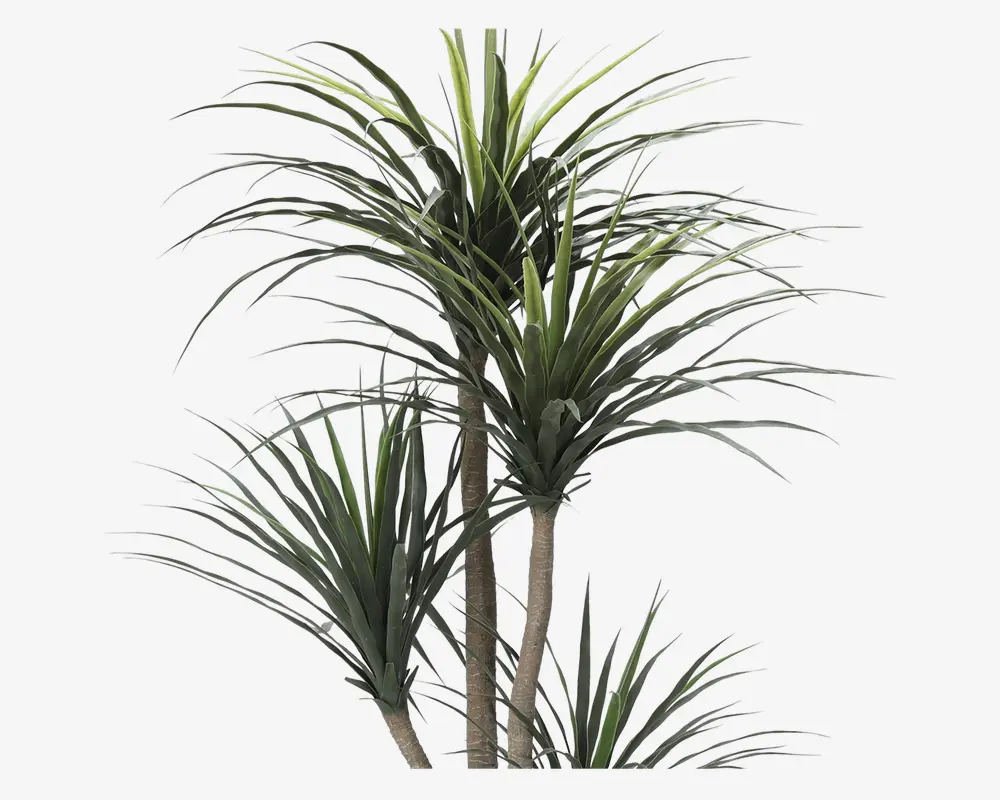 Dracaena træ kunstigt H.160 cm 