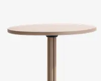 Rund bordplade med en glat, mat beige overflade, understøttet af et enkelt cylindrisk metalben i samme beige farve. Bordet har et minimalistisk design med rene kanter og en solid central støtte.