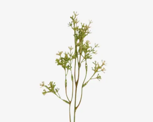 Stilk med bær hvid/grøn H.35 cm