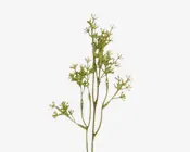 Stilk med bær hvid/grøn H.35 cm 