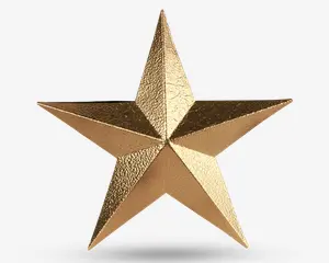 En femtakket stjerne med metallisk guldfinish og en tekstureret, hamret overflade. Stjernen har et tredimensionelt, hævet design med skarpe, markerede kanter og en reflekterende glans.