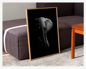 Plakat Elefant