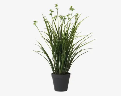 Kunstig plante med lange, slanke grønne blade og små hvide blomsterklaser i toppen. Planten er placeret i en enkel, mat sort potte. Løvet er tæt og opretstående, hvilket giver et frisk og livligt udtryk. Blomsterne er fine og tilføjer et diskret dekorativt element.