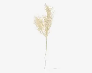Stilk Asparagus hvid H.86,4 cm 