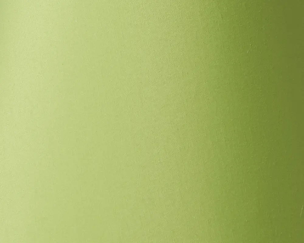 Glat, mat overflade i en lysegrøn farve med en diskret farveovergang, der viser en fin tekstur, som antyder en blød, stoflignende eller belagt finish.