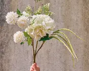 Stilk rævehale grøn L.76 cm 