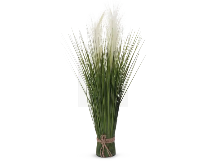 Et bundt lange, slanke grønne stilke med bløde, hvide duske i toppen, bundet sammen nederst med et simpelt stykke snor. Arrangementet har et naturligt og luftigt udseende, hvor de hvide duske giver en blød kontrast til de grønne stilke.