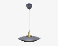 Et moderne pendellampe-armatur med en bred, lav, mat sort metalskærm og en guldfarvet detalje øverst, hvor skærmen møder stangen. Stangen er en slank, lige stang i samme mørke finish, der fører op til en rund, mat sort loftsroset. Designet er minimalistisk og nutidigt, velegnet til moderne indretning.