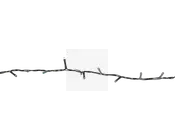 En streng af LED-lys med sort ledning og små, jævnt fordelte pærer. Ledningen er fleksibel og kan formes eller hænges op efter behov. Pærerne sidder direkte på ledningen, hvilket giver et minimalistisk og moderne udseende. Velegnet til dekorativ brug både indendørs og udendørs.