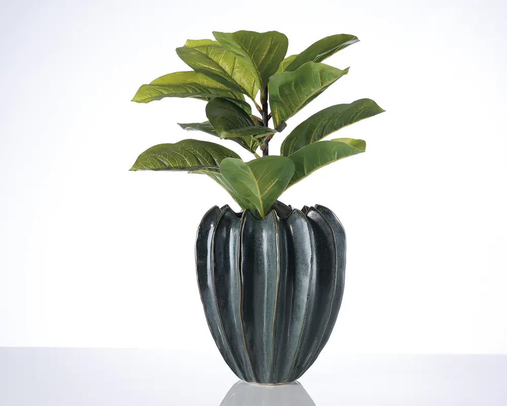 En dekorativ plante med brede, blanke grønne blade, der er arrangeret i lag, placeret i en mørk, riflede keramikkrukke med lodrette striber. Krukken har en rund form og en skinnende overflade, hvilket giver et moderne og elegant udtryk.