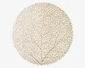 Et rundt dekorativt objekt med et indviklet, blonderagtigt mønster, der ligner de fine årer i et blad eller koral. Designet består af fine, sammenvævede linjer i en metallisk gylden farve, hvilket giver et tekstureret og elegant udtryk. Det samlede udseende er let og organisk med en naturlig, symmetrisk struktur.