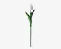 Tulipaner plast 10 stk.