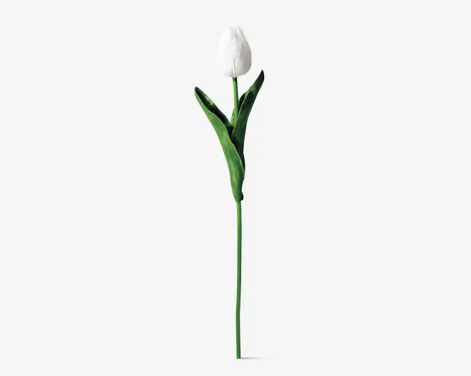 Tulipaner plast 10 stk.