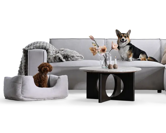 Lysegrå sofa med et groftstrikket tæppe, en lille hvid polstret kæledyrsseng og et rundt sofabord i træ og sort med en glasvase med blomster og små dekorationer; en brun hund sidder i kæledyrssengen, og en corgi sidder på sofaen.