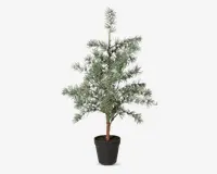 Cedertræ m/potte plastik H.60 cm 