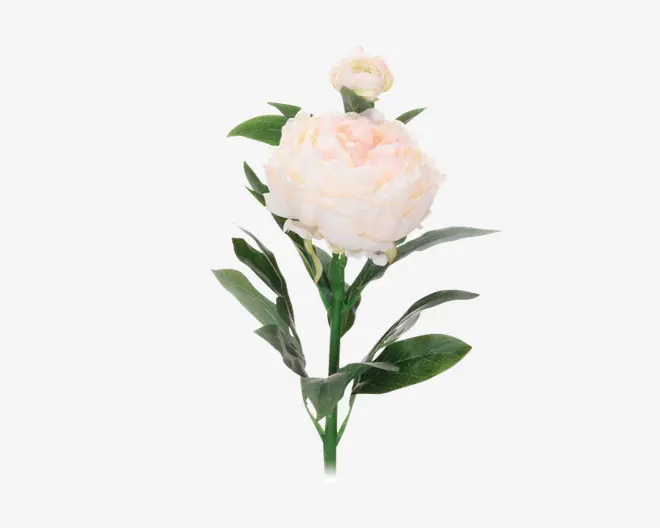 Pæon stilk ass 17x17x61 cm 