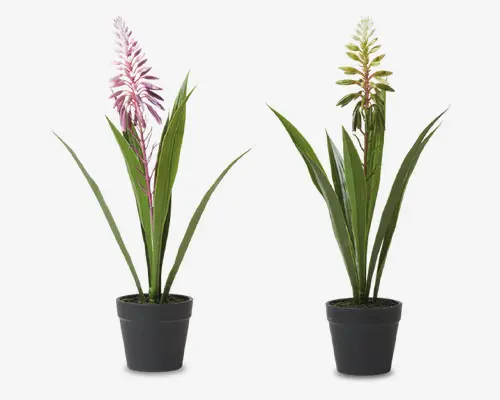 To kunstige potteplanter med lange, spidse grønne blade og høje, piggede blomsterstande. Den ene plante har en lyserød blomsterklase, mens den anden har en gulgrøn blomsterklase. Begge står i enkle, runde sorte potter med en realistisk jordoverflade.