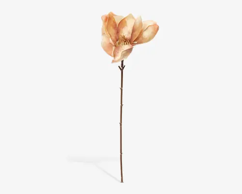 Dekorativ kunstig blomst med store, bløde kronblade i fersken- og cremefarver samt et detaljeret gult midterparti. Blomsten sidder på en lang, slank brun stilk med realistisk tekstur. Kronbladene har en diskret farveovergang, hvilket giver et naturligt og elegant udseende.