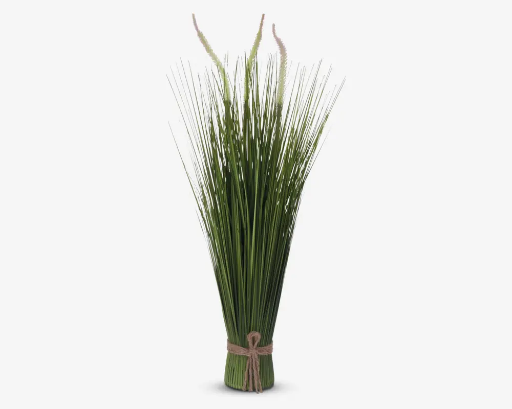 Et bundt lange, slanke græsagtige grønne stilke bundet sammen nederst med en naturfarvet snor. Stilkenes toppe spreder sig udad og har små, fine hvide detaljer, der ligner små blomster eller frø. Udtrykket er naturligt og minimalistisk, velegnet til dekorative arrangementer.