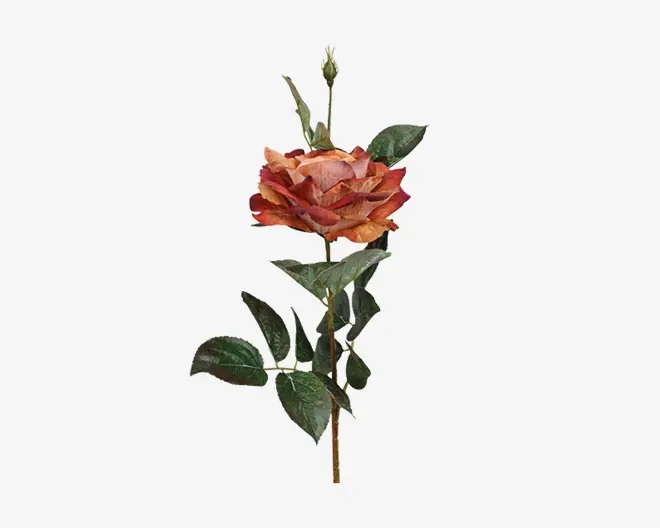 Rose stilk  ass 10x10x59 cm 