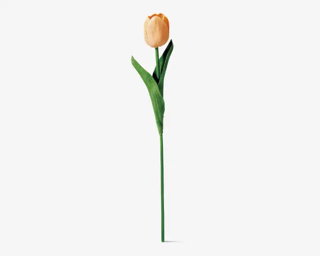 Tulipaner plast 10 stk.