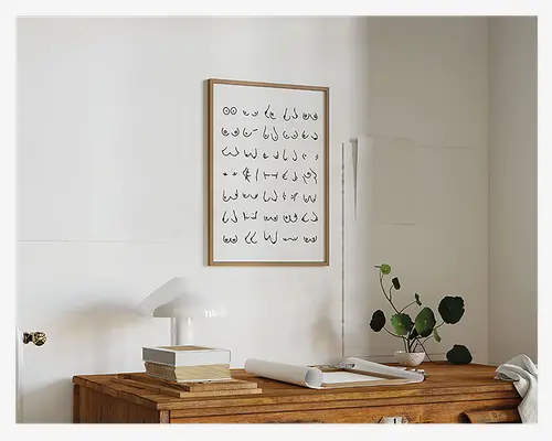 Plakat Boobies