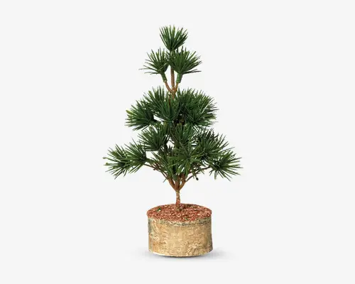 Kunstig plante med tæt, spidst grønt løv arrangeret i runde klynger på flere grene. Planten står i en cylindrisk potte med en naturlig træ-lignende overflade og er dækket med rødbrunt dekorativt muld. Udtrykket er frodigt og velordnet, velegnet til indendørs dekoration.