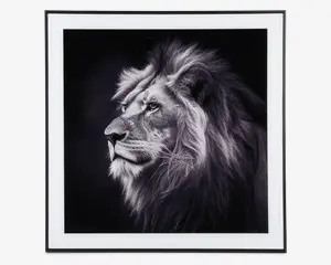 Billede løve i ramme 50x50 cm