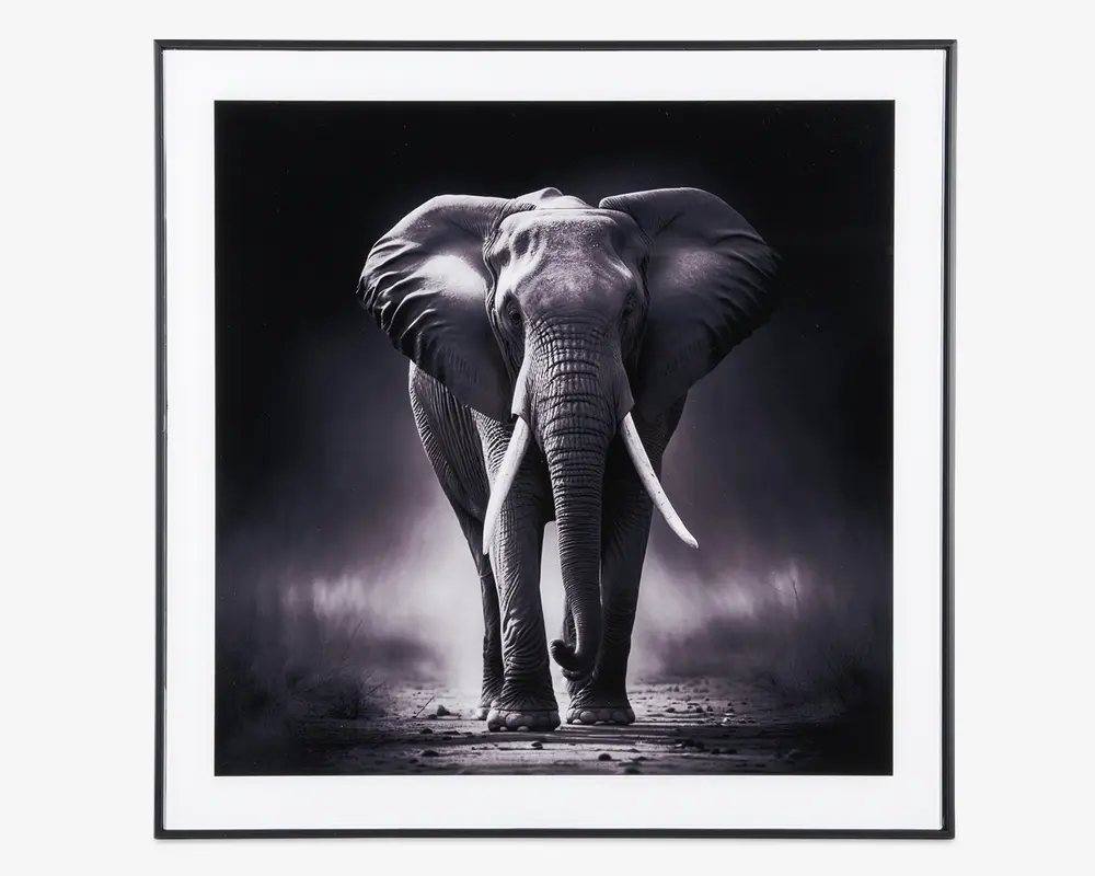Billede elefant i ramme 50x50 cm 