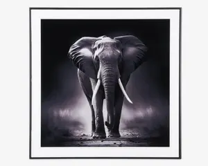 Billede elefant i ramme 50x50 cm 
