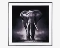 Billede elefant i ramme 50x50 cm 