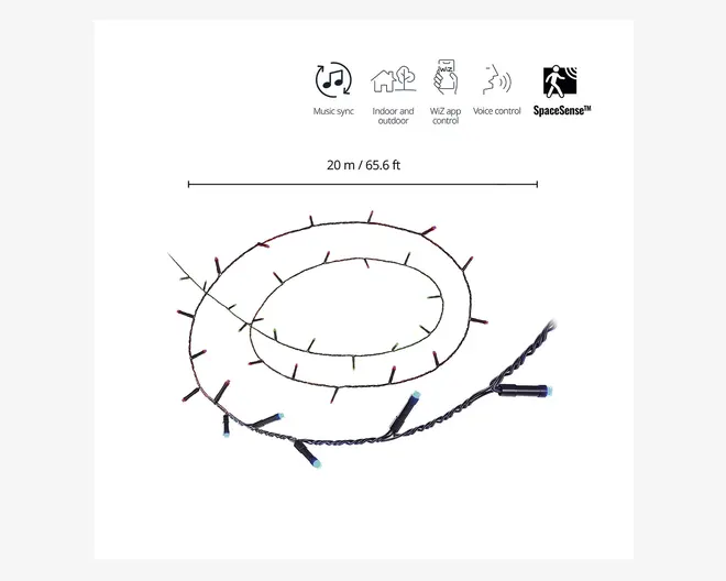 En 20 meter (65,6 fod) lang lyskæde med flerfarvede LED-lys og sort kabel. Lysene er jævnt fordelt langs hele kæden. Produktet har funktioner som musik-synkronisering, kan bruges både indendørs og udendørs, styres via en dedikeret app og med stemmekontrol, og har SpaceSense-teknologi. Kæden har et stik i den ene ende til strøm eller sammenkobling af flere sæt.