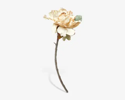 Kunstig blomsterstilk med en stor, cremefarvet pæonblomst, der har diskrete brune nuancer på kronbladenes kanter. Kronbladene er lagdelte og let bølgede, hvilket giver et realistisk og fyldigt udtryk. Stilken er lang, slank og tekstureret med et afdæmpet grønt blad tæt på blomstens base.