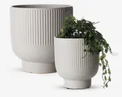 To moderne, cylindriske urtepotter i en lys, let plettet offwhite farve med mat finish. Begge har en forhøjet fod og lodrette riller på den øverste del. Den mindste potte indeholder en hængende grøn plante med runde blade.