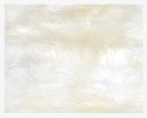 Lammeskind Hvid B.50 x L.160 cm