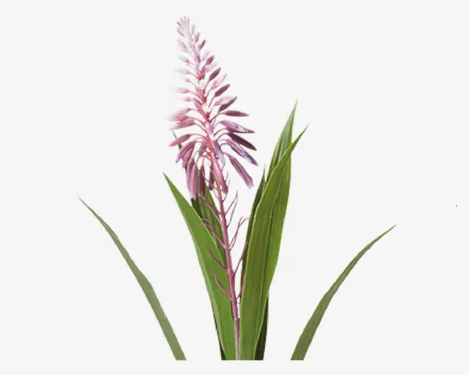 Hyacint Potte Ass H.35 cm