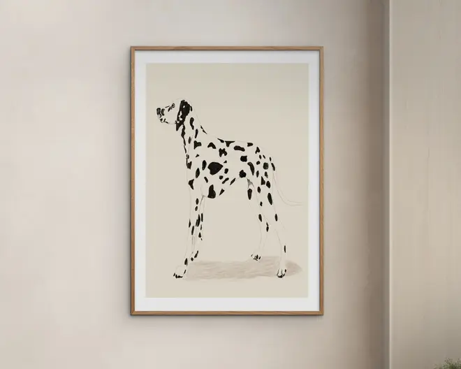 Plakat Jenny Liz Dalmation