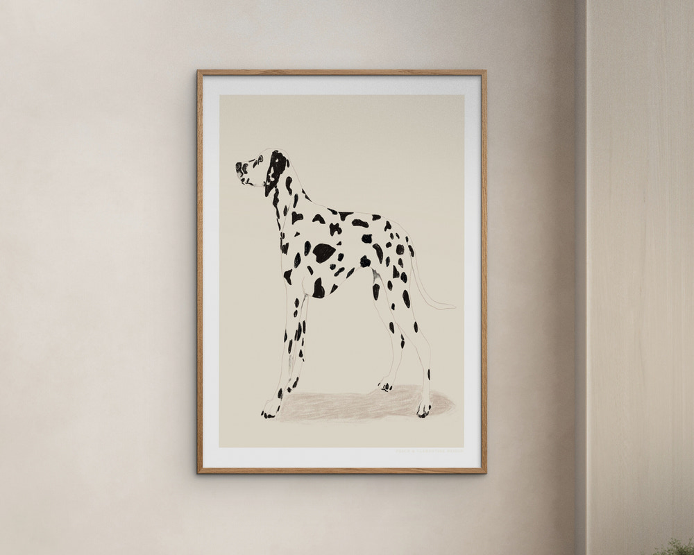 Plakat Jenny Liz Dalmation